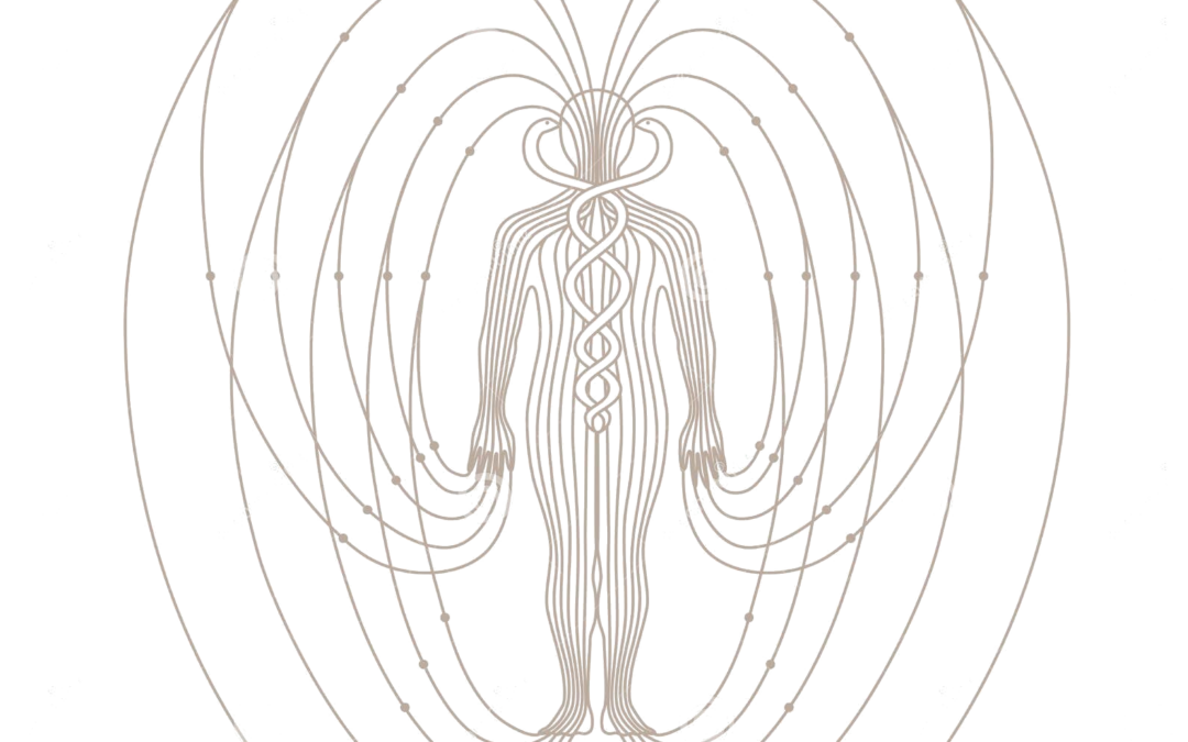 Los Campos de la Kinesiología